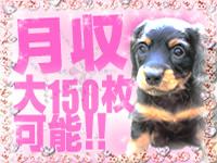 ���͡����β�