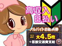NANA���ű�