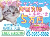 �ϥ��ѡ���֥Х���