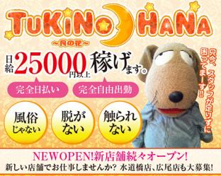 TUKINOHANA@`̉ԁ`@X