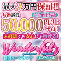 ¥ï¥ó¥À¥Õ¥ë